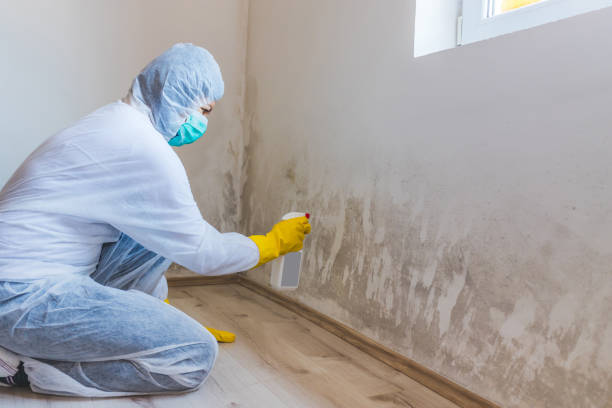 Licensed Bathroom Mold Removal service in Colmar, PA - WQB Mold Removal