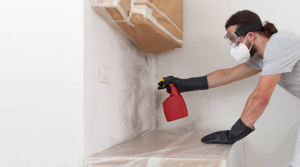 Professional Bathroom Mold Removal technician working in Colmar, PA