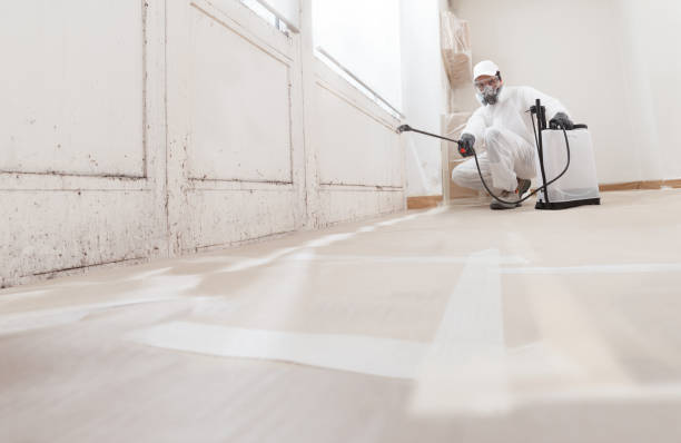 24/7 Emergency Bathroom Mold Removal experts in Colmar, PA