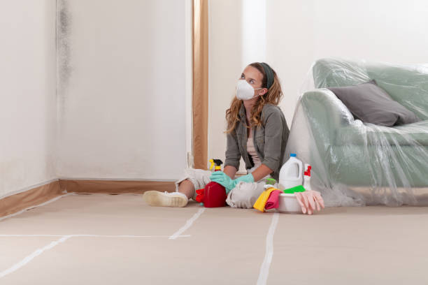 Reliable Bathroom Mold Removal contractor in Colmar, PA by WQB Mold Removal