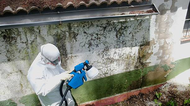 Top rated local Bathroom Mold Removal specialists in Colmar, PA